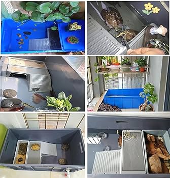 亀6点セット大特価‼️ Amazon | 亀 水槽 大きい 亀の水槽 特大亀 飼育ケース 蓋付き